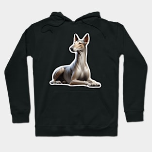 Azawakh Hoodie